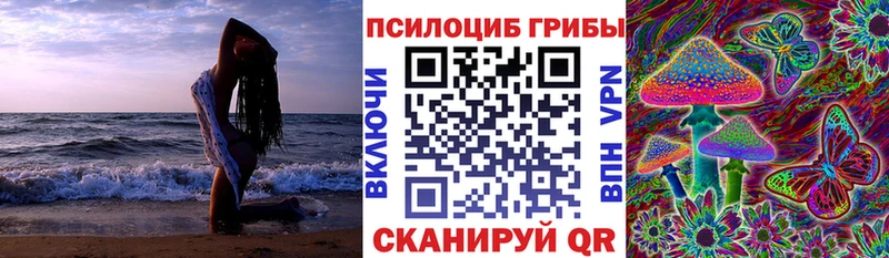 это как зайти  наркота  Большой Камень  Галлюциногенные грибы ЛСД 