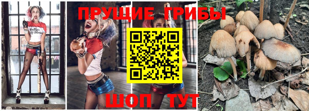 магазин    Вход с VPN  Большой Камень  Галлюциногенные грибы MAGIC MUSHROOMS 